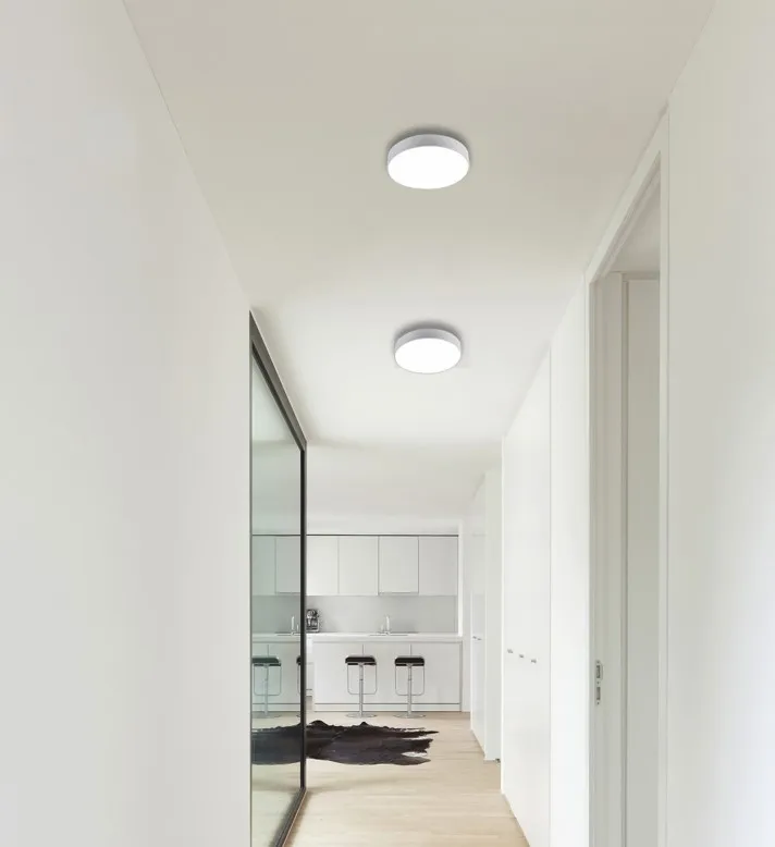 Потолочные светильники Favourite 2065-30C Flashled