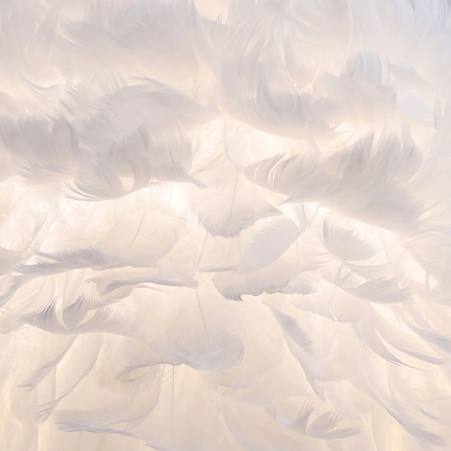 Подвесные люстры  4840-3P Plumage