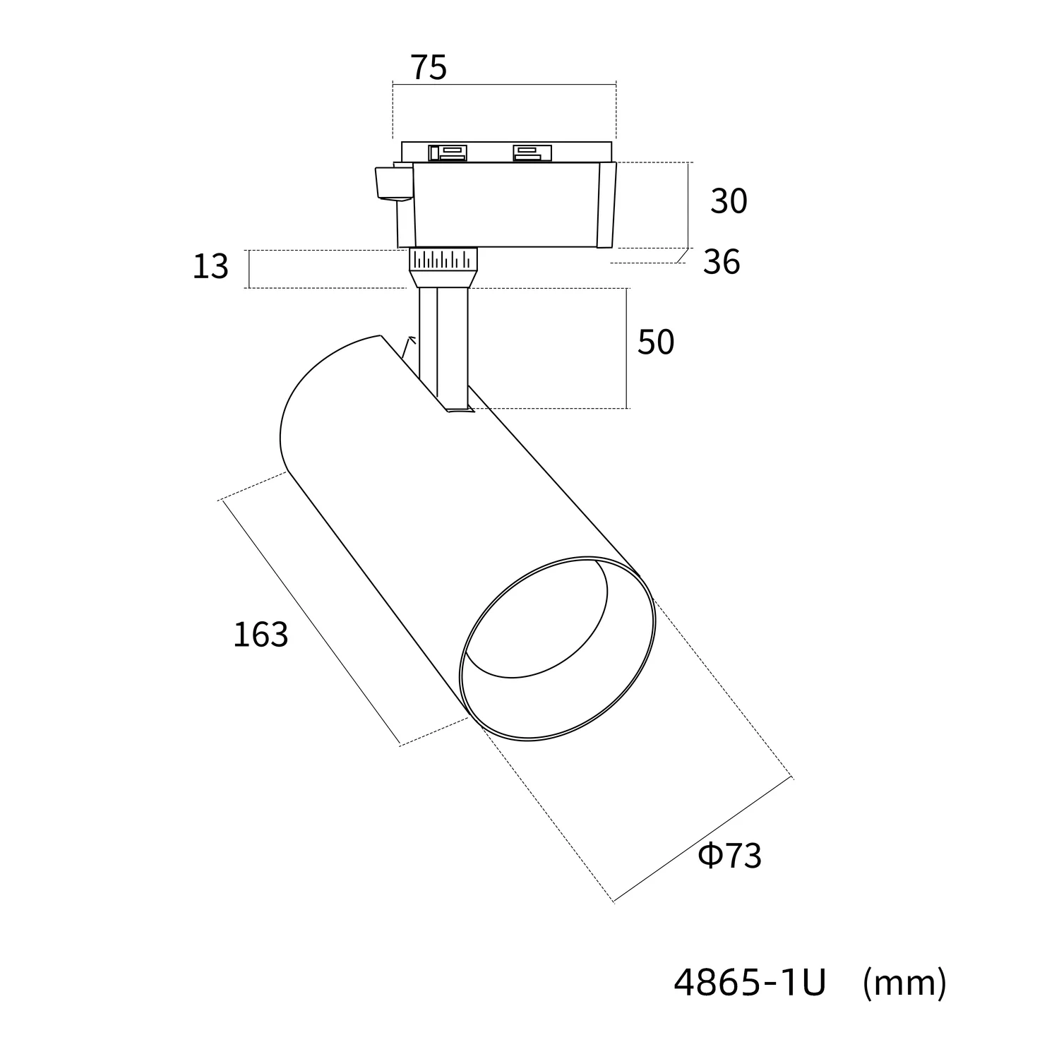 Светильники Practica Favourite 4865-1U Practica