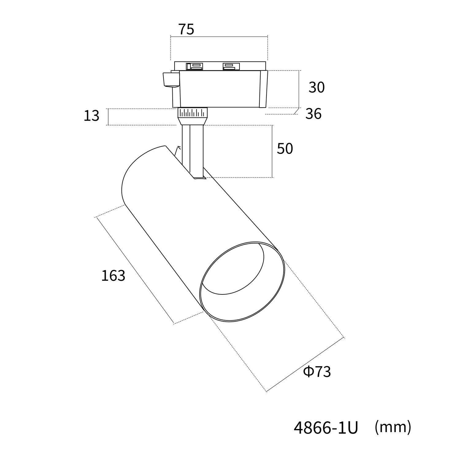 Светильники Practica Favourite 4866-1U Practica