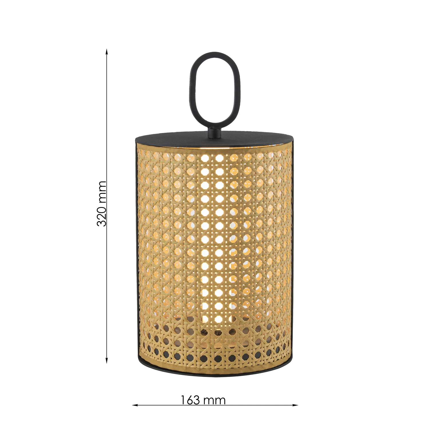 Настольные лампы  4889-1T Organicum