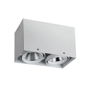 Потолочные светильники Favourite 1986-2U Flashled