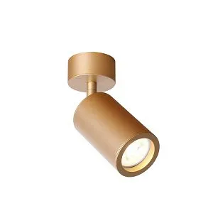 Потолочные светильники Favourite 2802-1U Angularis