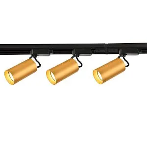 Потолочные светильники Favourite 4019-3U Imago