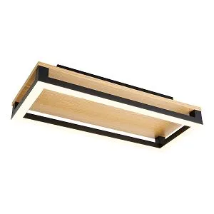 Потолочные светильники F-Promo 4434-1C Firkant