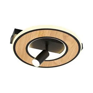 Потолочные светильники F-Promo 4438-1C Olika