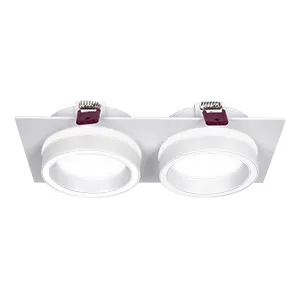 Врезные потолочные светильники Favourite 4650-2C Vasto