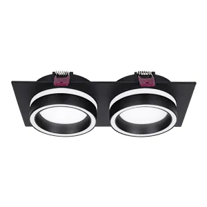 Врезные потолочные светильники Favourite 4651-2C Vasto