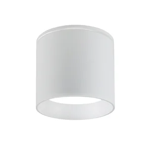 Накладные потолочные светильники Favourite 4662-1U Fantum