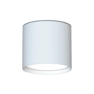 Накладные потолочные светильники Favourite 4664-1U Fantum