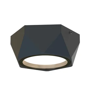 Накладные потолочные светильники Favourite 4670-1U Fantum