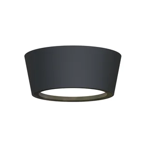 Накладные потолочные светильники Favourite 4675-1U Fantum