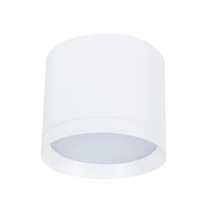 Накладные потолочные светильники Favourite 4708-1C Rote