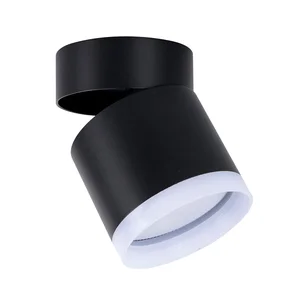 Накладные потолочные светильники Favourite 4710-1C Dixi