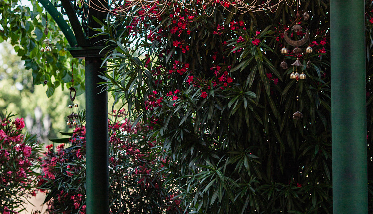 Люстры Favourite на Манежной площади