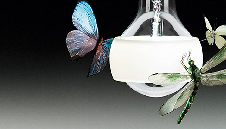 Гуру светового дизайна