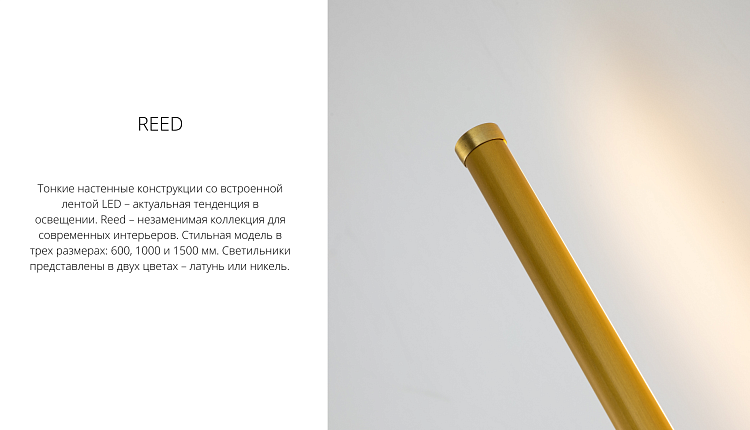 НОВИНКИ НА СКЛАДЕ!