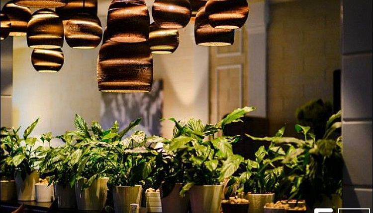 Интересные проекты с FAVOURITE Новороссийск «VOCUE CAFÉ»