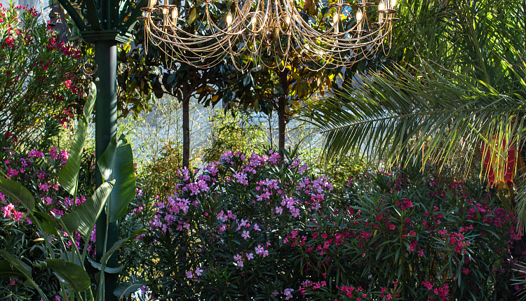 ✨Люстры Favourite на Манежной площади✨