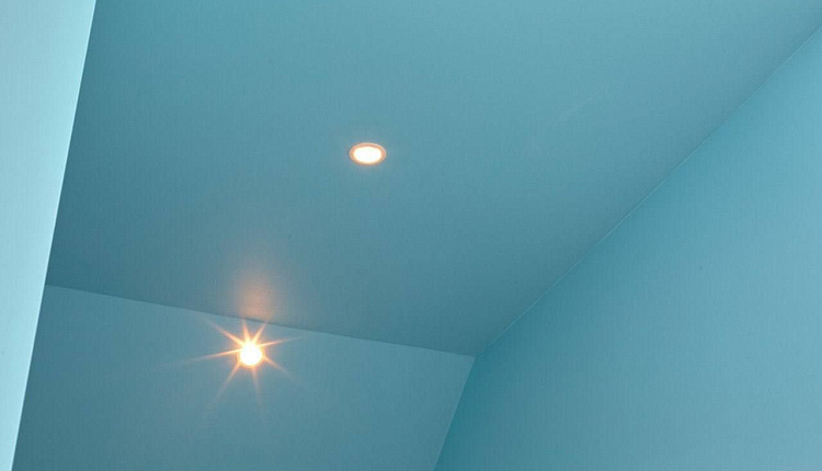 Favourite в ТВ-проекте "Дачный ответ"