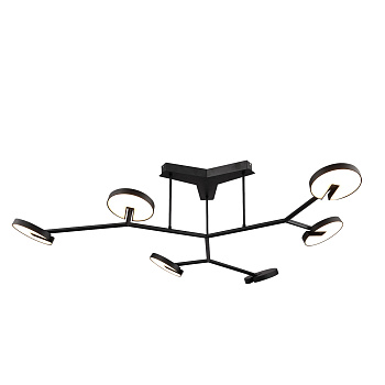 Потолочные люстры Favourite 4401-6C Paritet