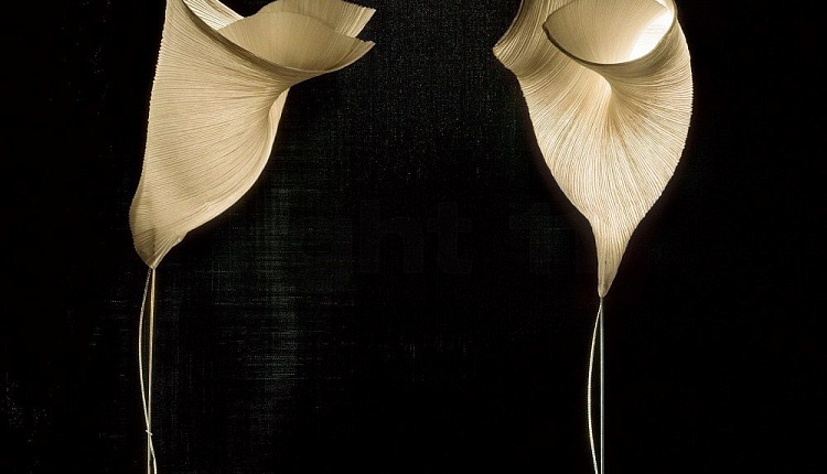 Гуру светового дизайна