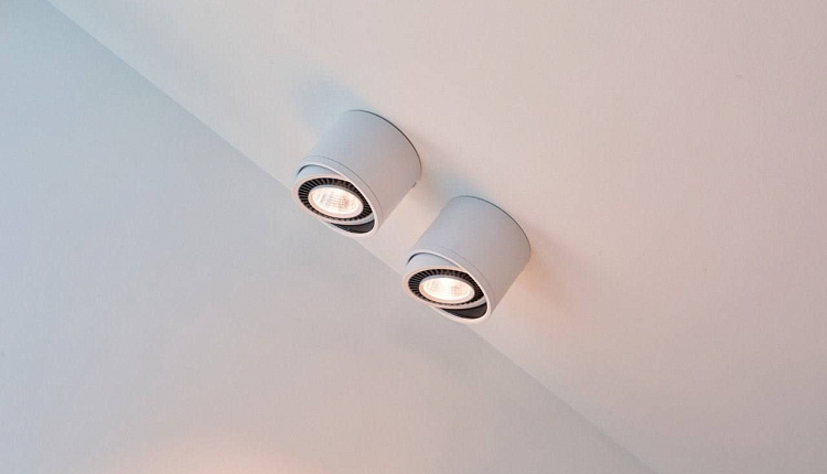 Favourite в ТВ-проекте "Дачный ответ"