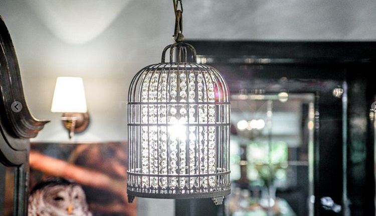 «Дачный ответ» на НТВ и FAVOURITE!