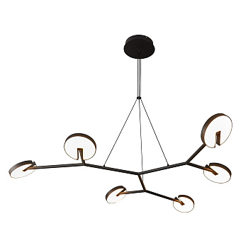 Подвесные люстры Favourite 4401-6P Paritet