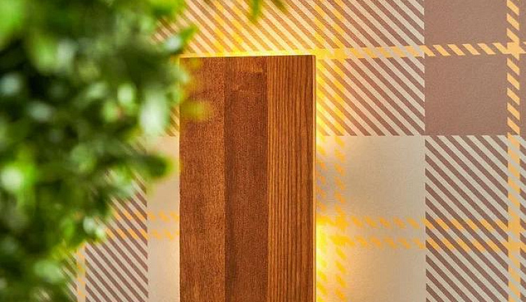 В это воскресенье в эфир телеканала МИР выйдет новый выпуск программы «Фазенда Лайф».