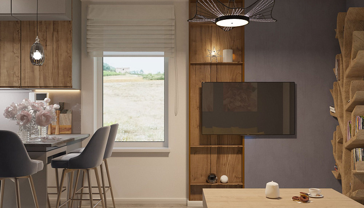 проект кухни-гостиной